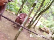 Aventura con los dinosaurios 