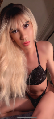 TRANS HOT COMPLETA