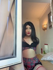 NOVEDAD EN LAS CANTERAS DOMINANTE Y CAÑERA